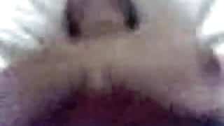 Fucked Mature StepMom, big boobs! Amateur Sex! Real Sound!